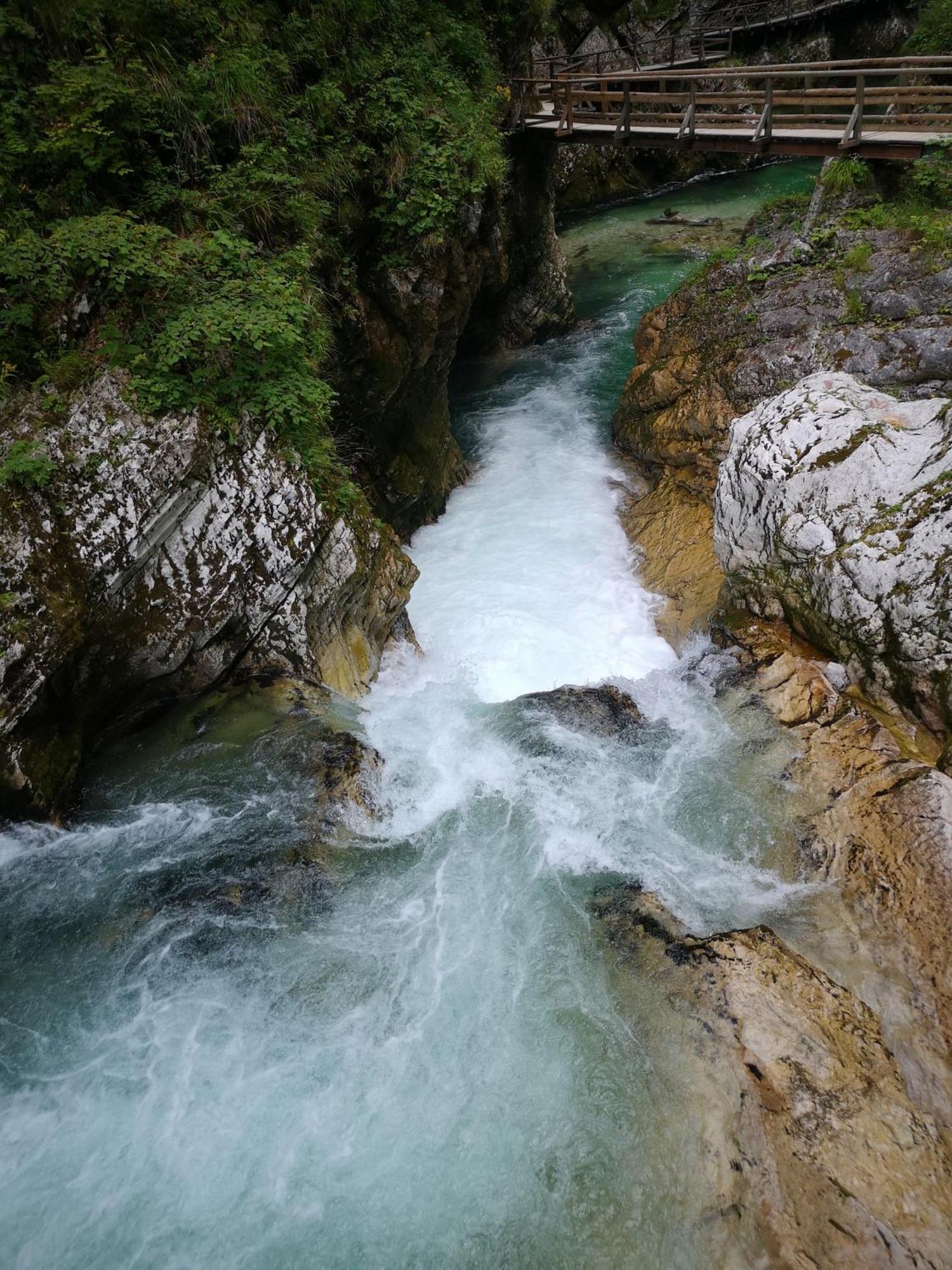 Kiara * Jesenice