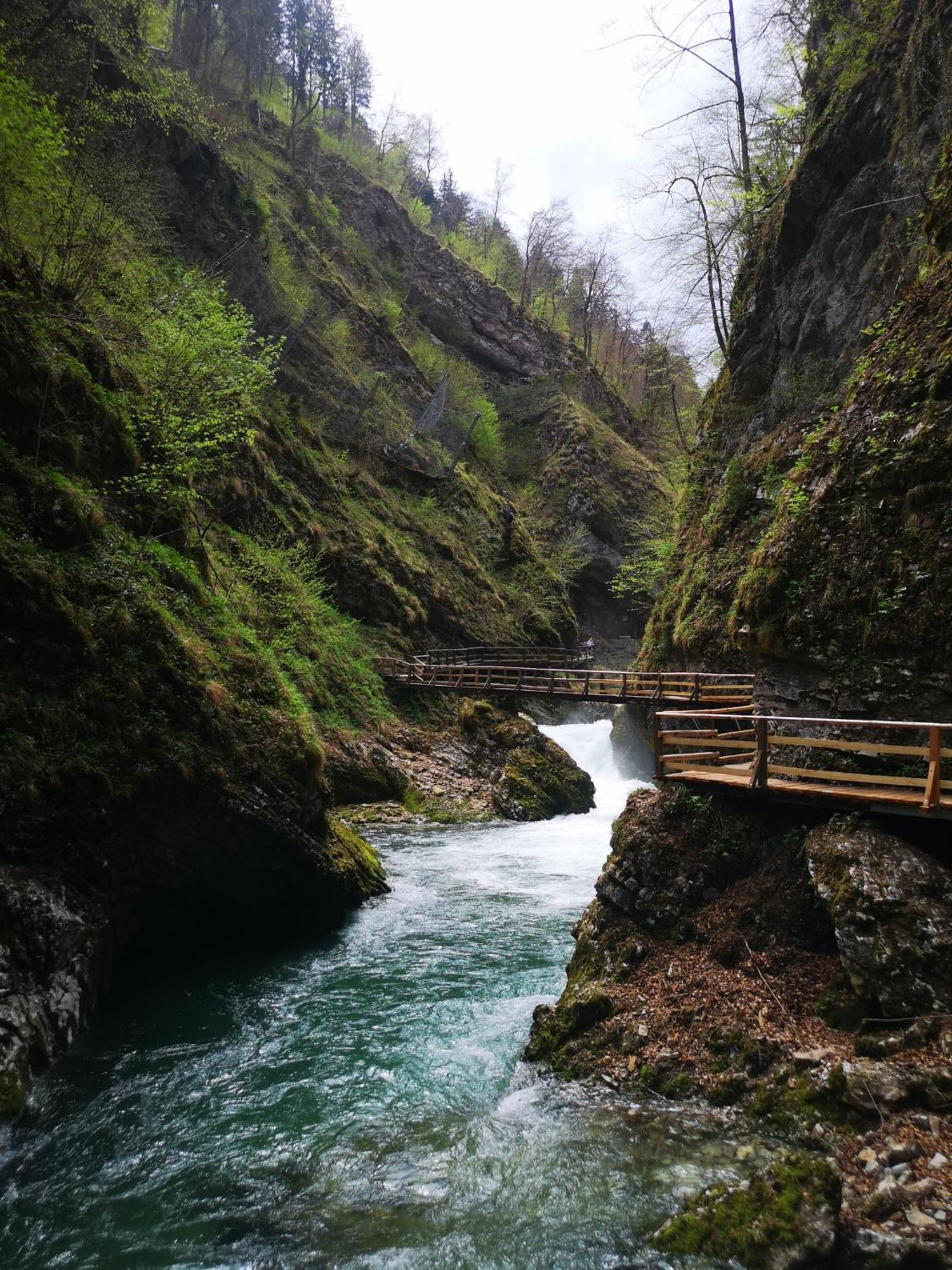 Kiara * Jesenice